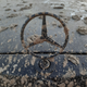 Illustration for article titled Took the Benz for its First Offroading Trip